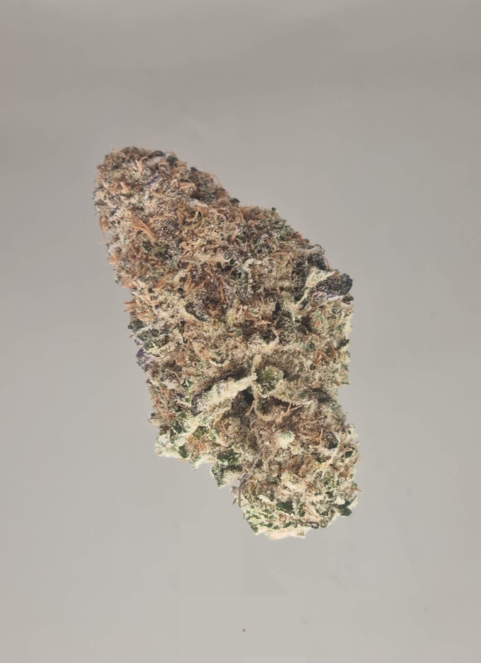 Divine Jelly Breath
